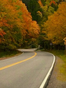Cape Breton (Marc Caron) 1