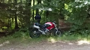 Angle's Monster Posing for the Calendar (NEM 2014)