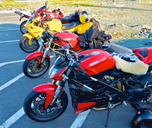 Coveted Streetfighter Sheepskin (1)